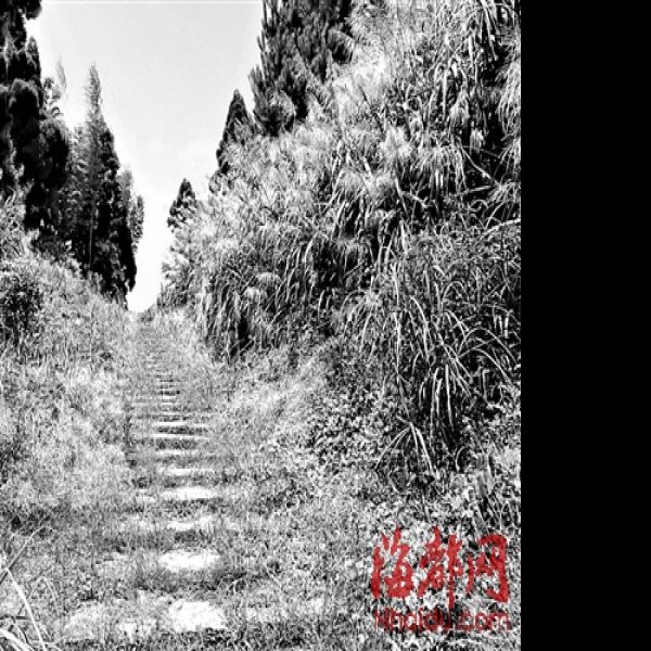 白鹤岭福温古道 - 图片3