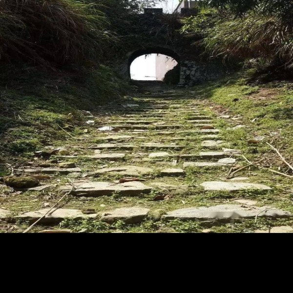 白鹤岭福温古道 - 图片4