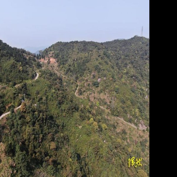 白鹤岭福温古道 - 图片5
