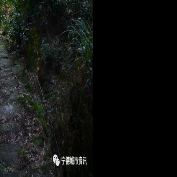 白鹤岭福温古道 - 图片6