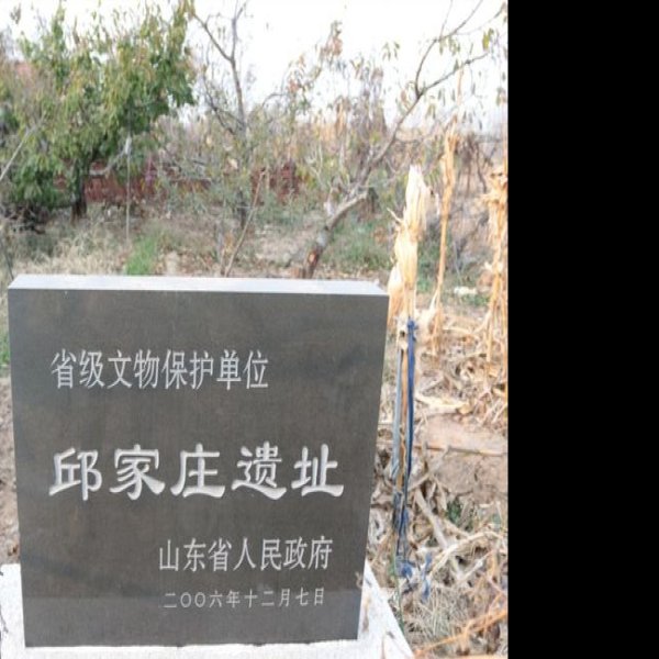 邱家庄遗址 - 图片1