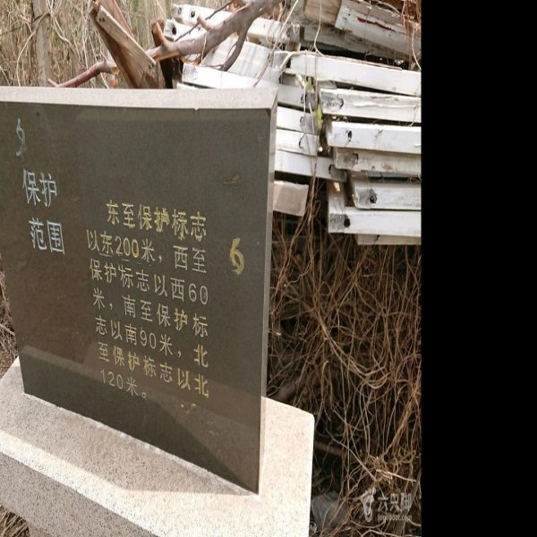 邱家庄遗址 - 图片4