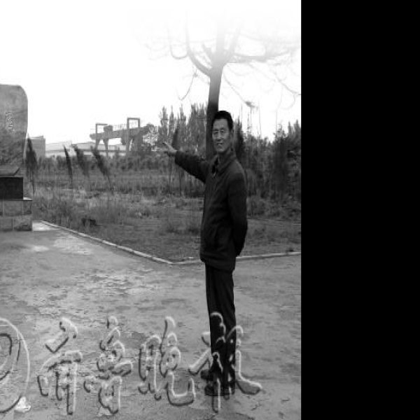 汶阳遗址 - 图片9