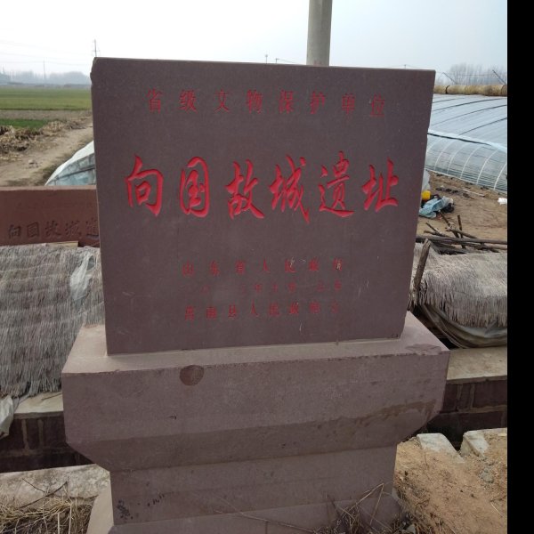 卞国故城遗址 - 图片1