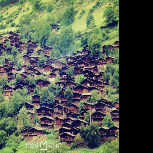 同乐傈僳族民居建筑群 - 图片10