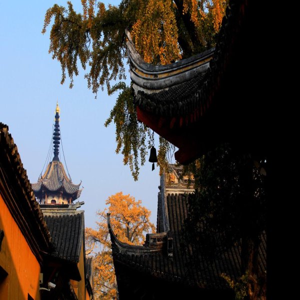 南通天宁寺 - 图片9