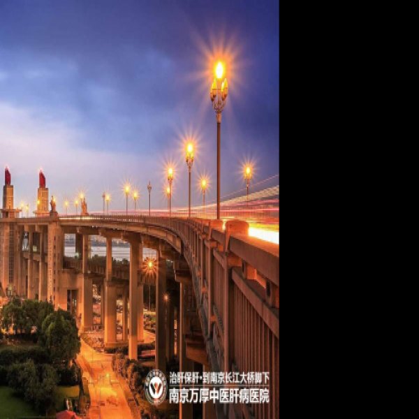 南京长江大桥 - 图片10