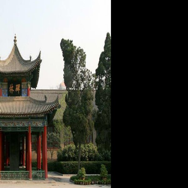 西安碑林博物馆 - 图片3