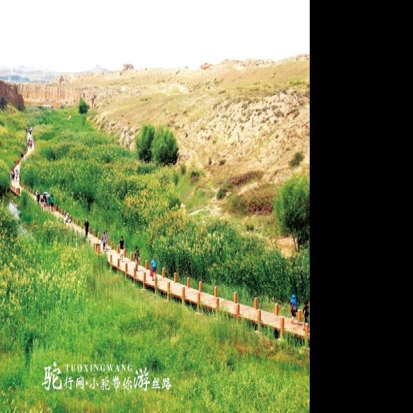 宁夏水洞沟遗址 - 图片9