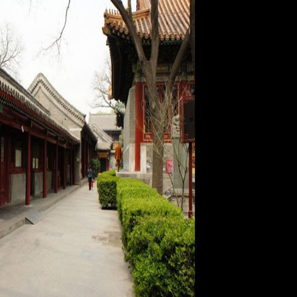 广济寺 - 图片8