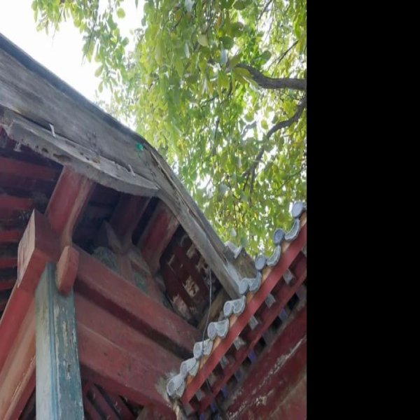 崇礼住宅 - 图片6