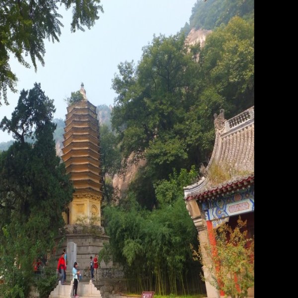 天成寺 - 图片10