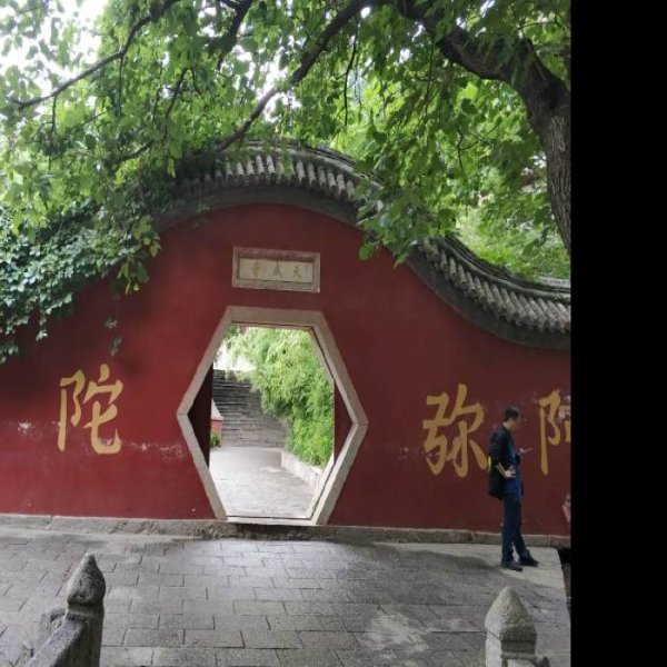 天成寺 - 图片5
