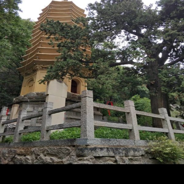 天成寺 - 图片9