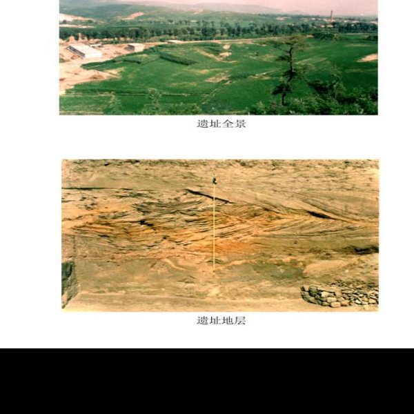 爪村遗址 - 图片9