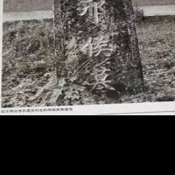 邢国墓地 - 图片7