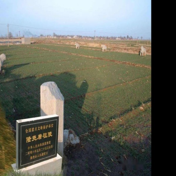 隆尧唐祖陵 - 图片1