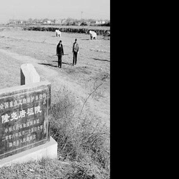 隆尧唐祖陵 - 图片3