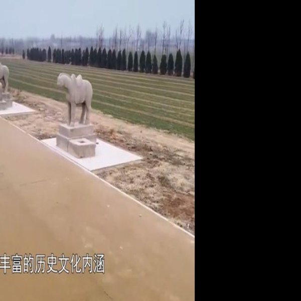 隆尧唐祖陵 - 图片5