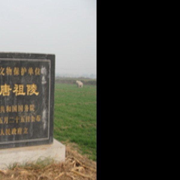 隆尧唐祖陵 - 图片9