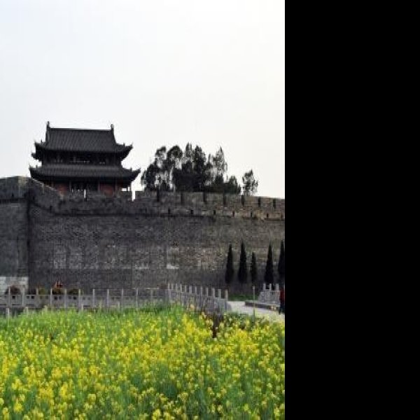湖北荆州古城 - 图片5