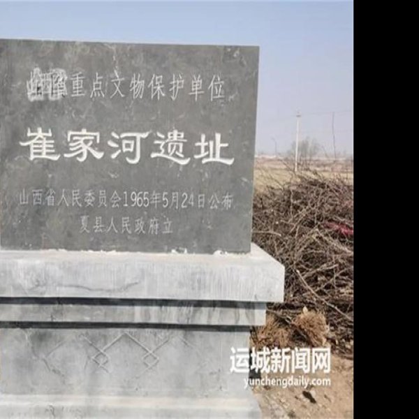 崔家河墓群 - 图片4