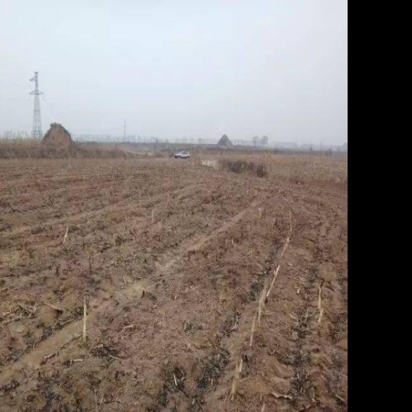 什贴墓群 - 图片2