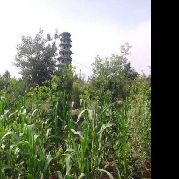 什贴墓群 - 图片4