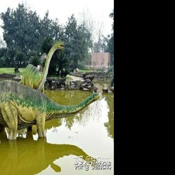 四川自贡恐龙博物馆 - 图片4