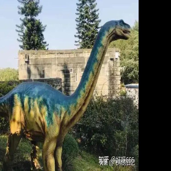 四川自贡恐龙博物馆 - 图片6