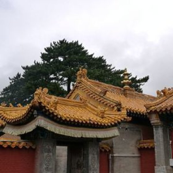 菩萨顶 - 图片6