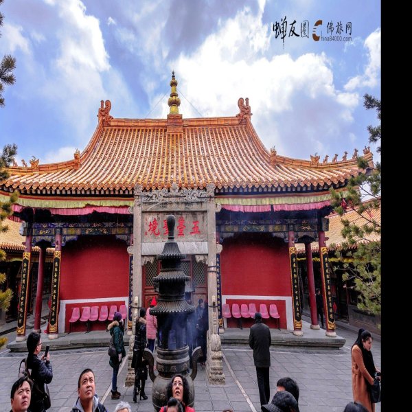 菩萨顶 - 图片8