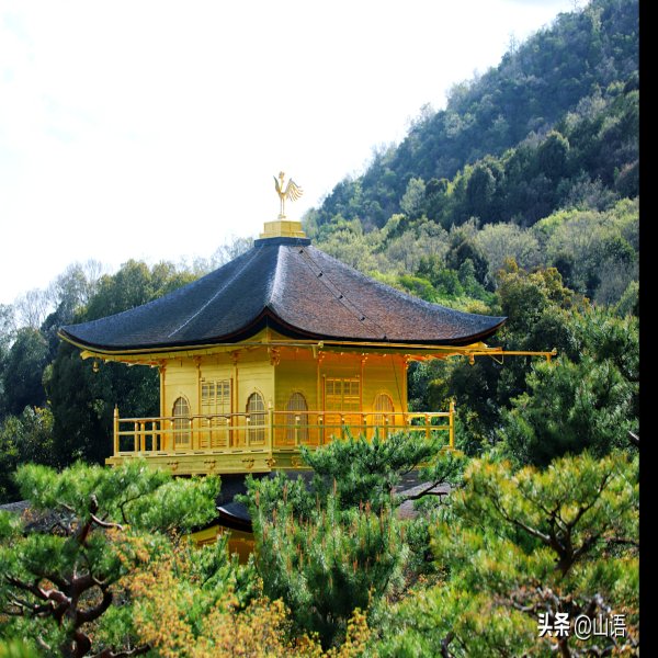金阁寺 - 图片1