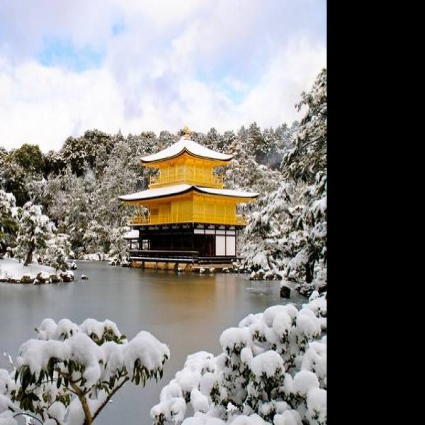金阁寺 - 图片10