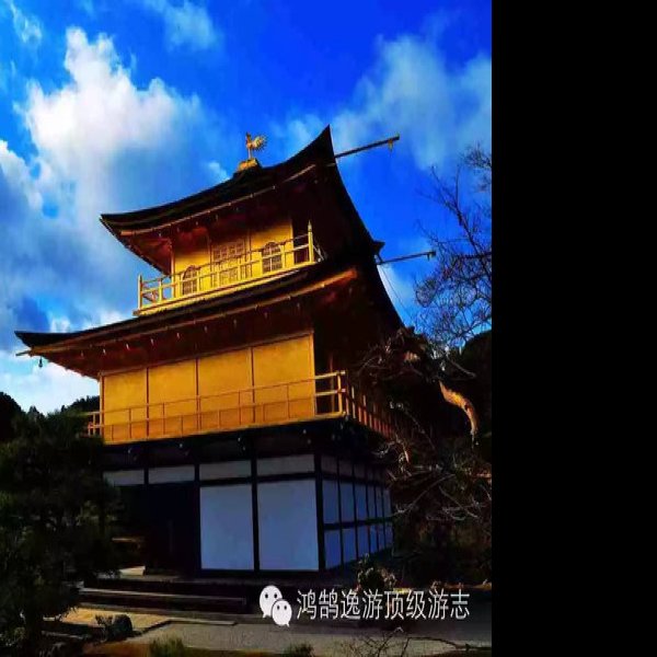 金阁寺 - 图片8