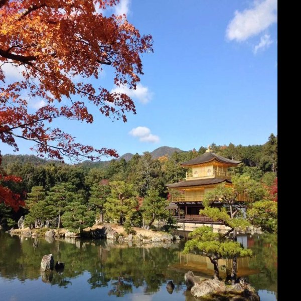 金阁寺 - 图片9