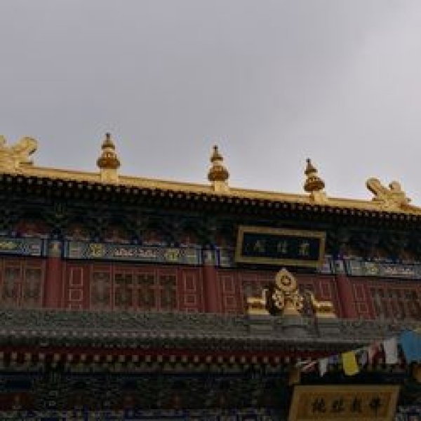 广仁寺 - 图片4