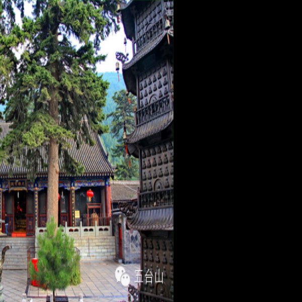 黛螺顶 - 图片4