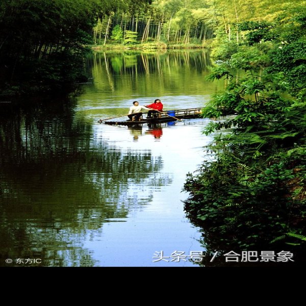 四川蜀南竹海 - 图片10