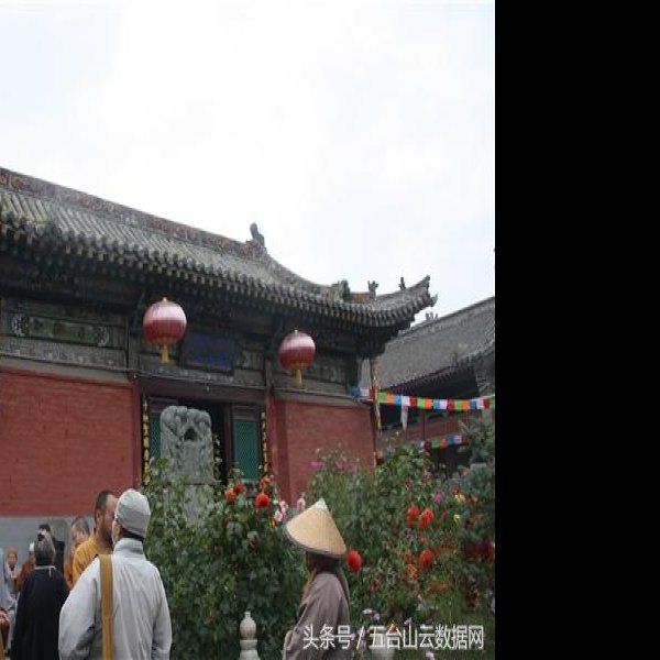 圆照寺 - 图片1