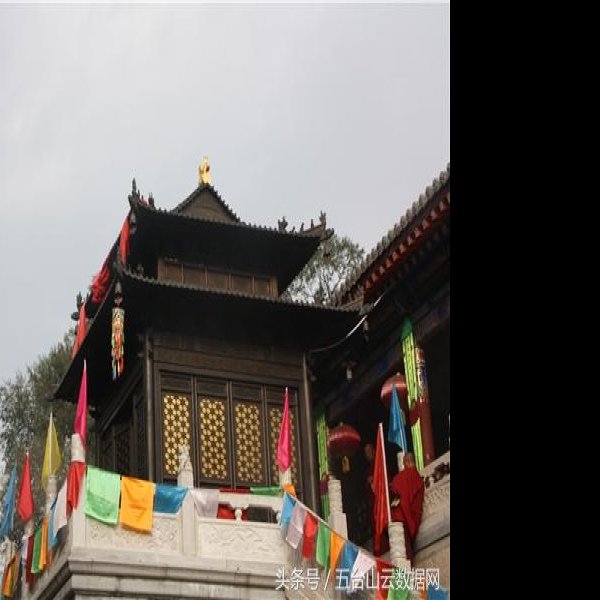 圆照寺 - 图片9