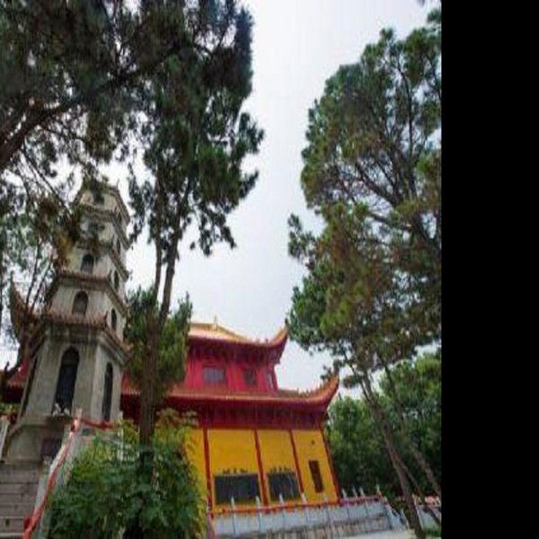 寿宁寺 - 图片9