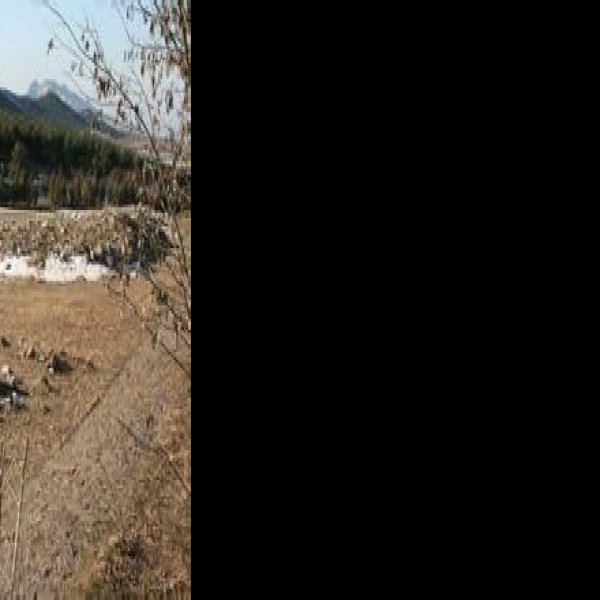 红山遗址群 - 图片6
