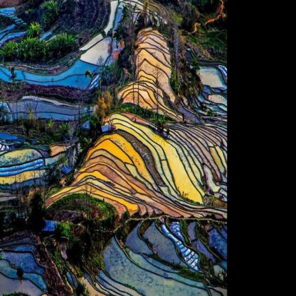 云南元阳哈尼梯田 - 图片4