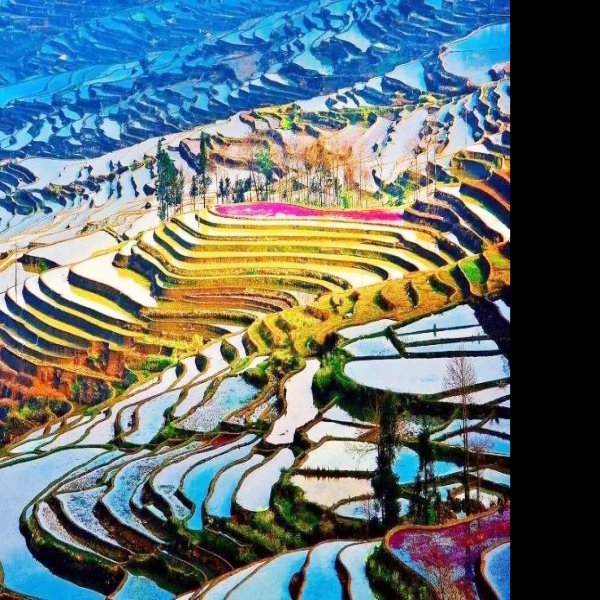 云南元阳哈尼梯田 - 图片9