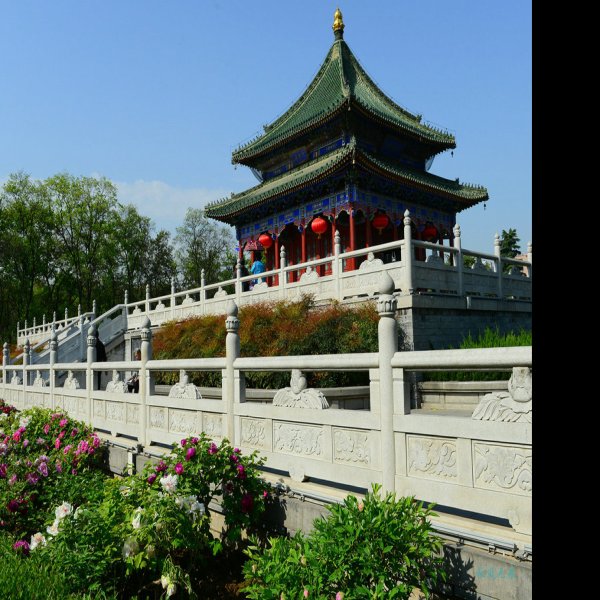 西安兴庆宫 - 图片2