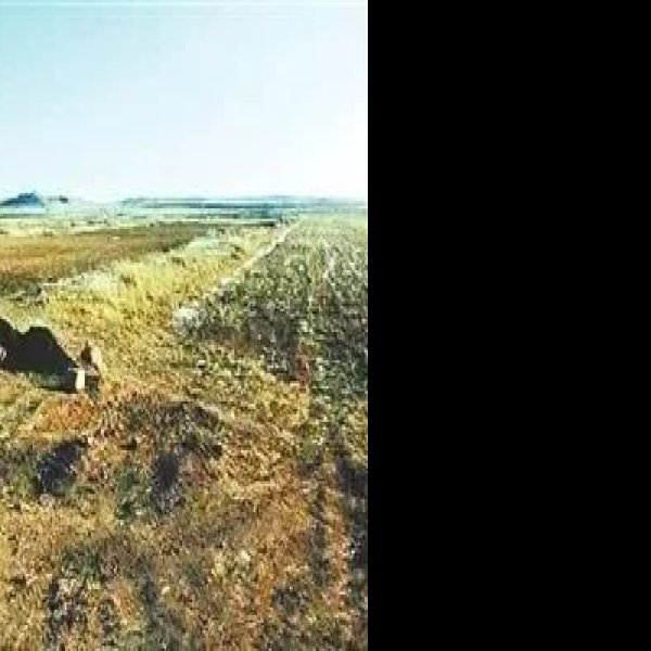 沃野镇故城 - 图片2