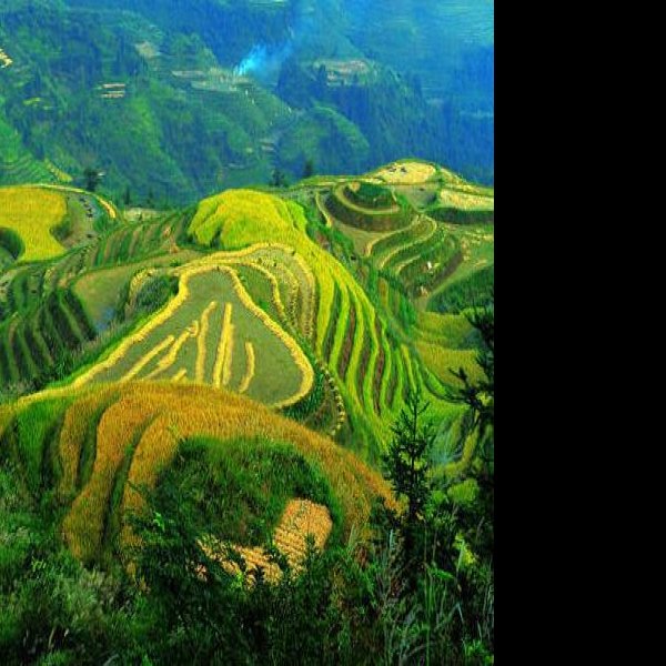 广西龙脊梯田 - 图片10