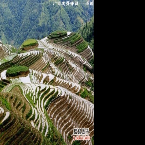 广西龙脊梯田 - 图片7