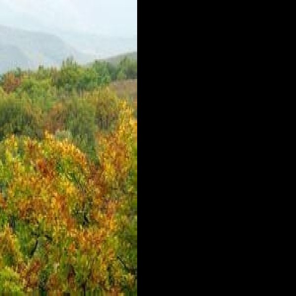 韩匡嗣家族墓地 - 图片2